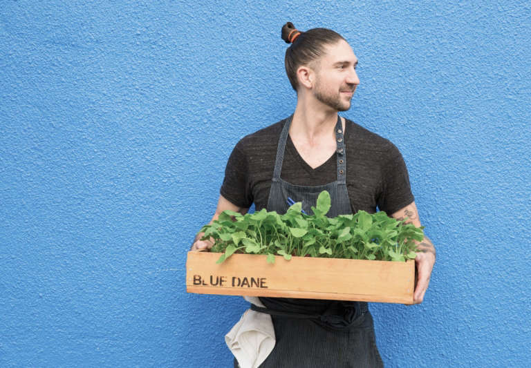 Expert Advice Halloween Decor Tips from a Master of the Dark Arts portrait 13