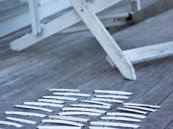 bleaching  20  razor  20  clams  20  in  20  the  20  sun  