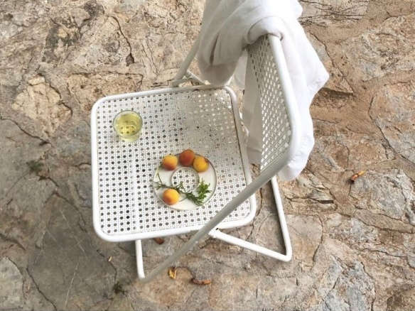 daniela jacobs picnic 7  