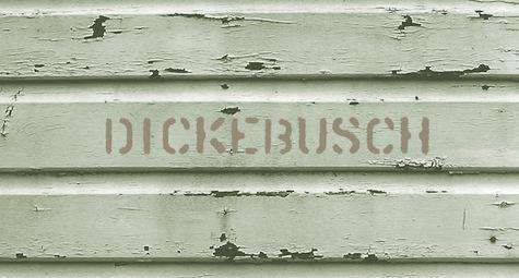 Channeling 1970s California Style Sun Ranch Resort in Byron Bay Australia portrait 50