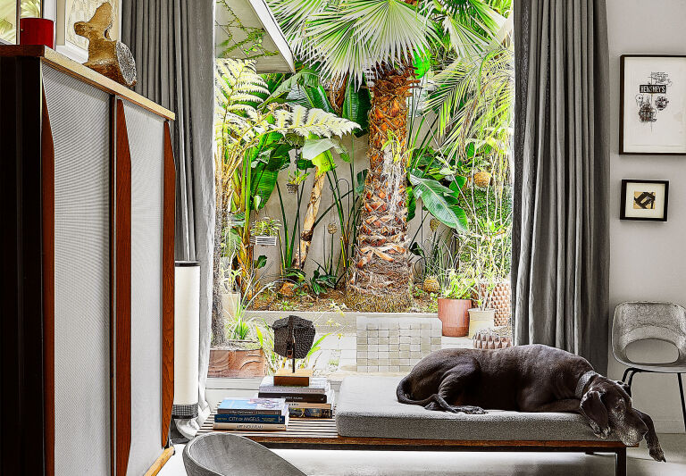 Shoppers Diary Block Shops LA Emporium Makes a Spirited Case for Color and Pattern portrait 7