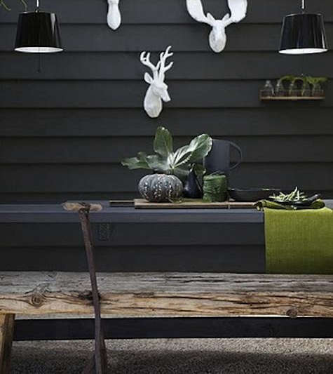 house of orange deer heads  