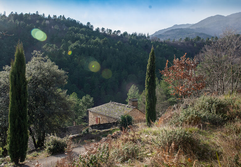 mas les vignes hillside  