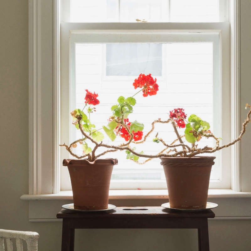 Buttrick Projects ArchitectureDesign portrait 9