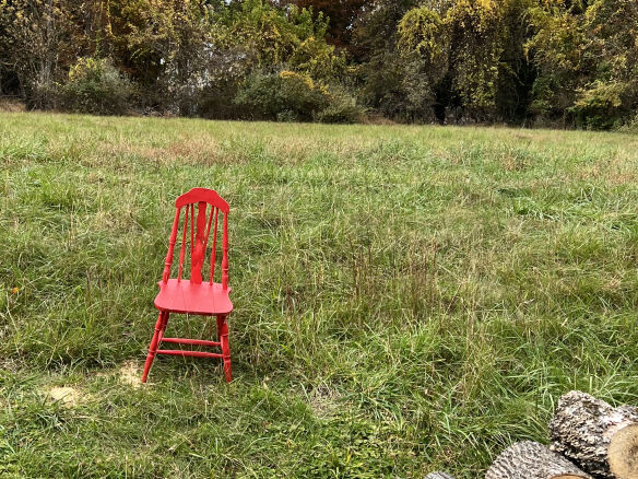 sally kohn spray paint chair after  