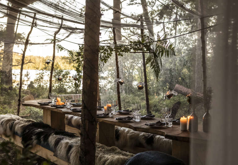 stedsans in the woods restaurant  