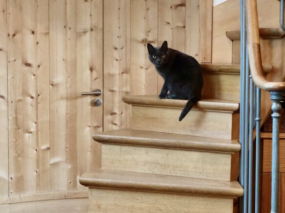 DIY Partitions 7 Rope Doorways and Room Dividers portrait 26